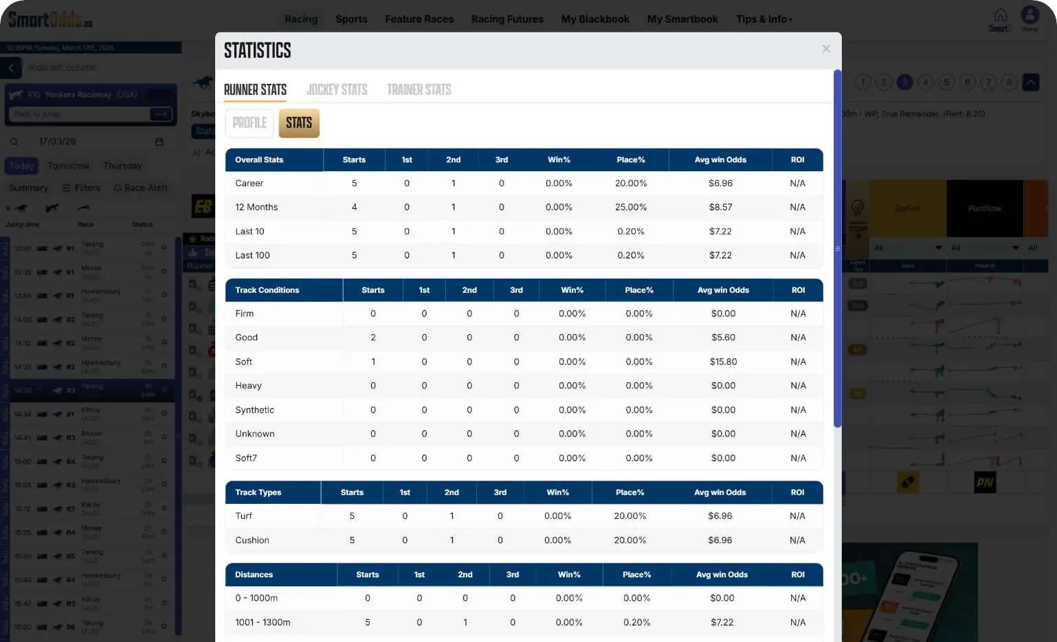 Dynamic Racing Statistics
