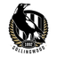 Collingwood Magpies