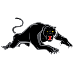 Penrith Panthers