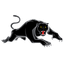Penrith Panthers