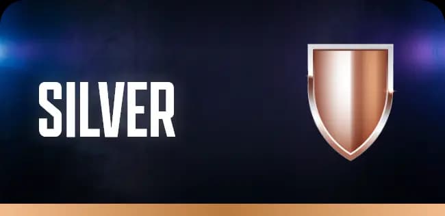 BRONZE